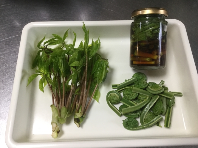 山菜(コシアブラ・行者にんにくの醤油漬け・コゴミ)