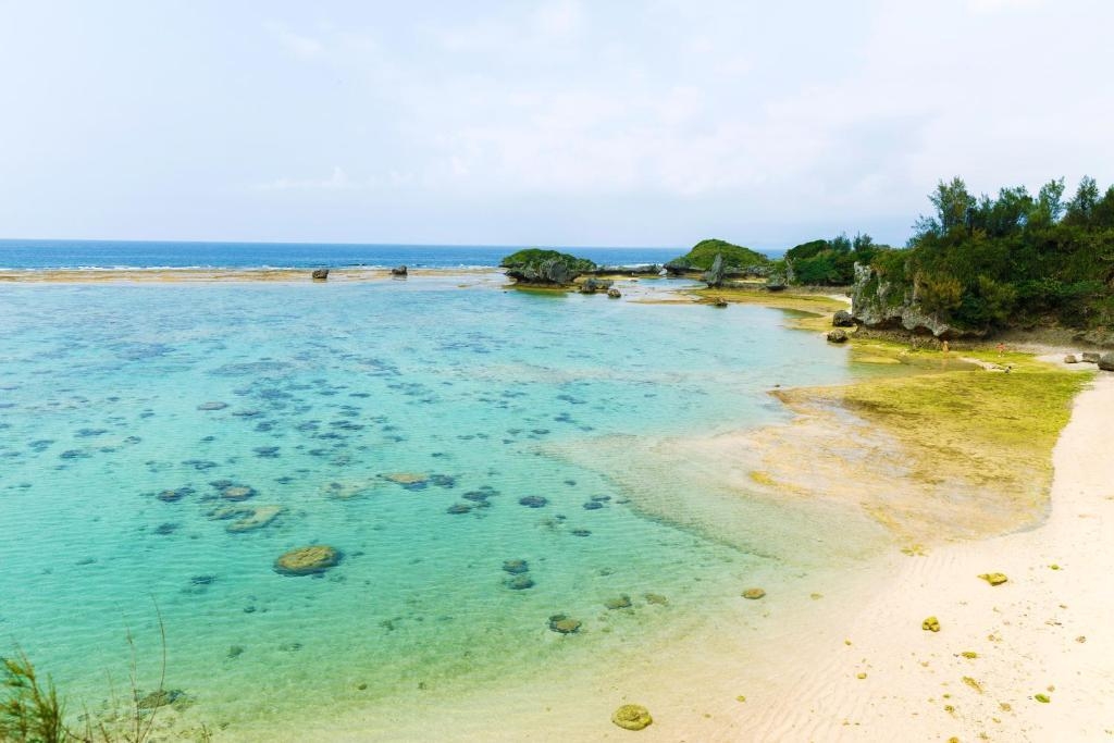 【秋冬SALE】のどかな自然に癒され、海を見ながら暮らす旅♪【素泊まり】