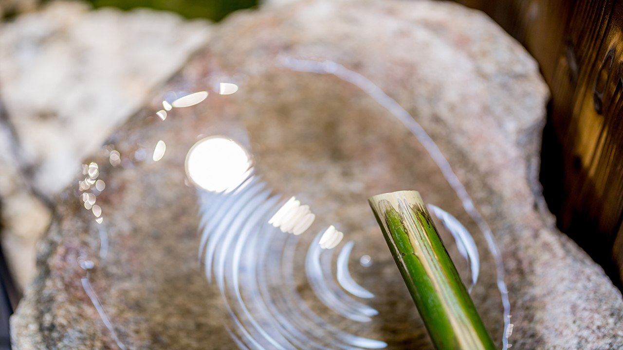 1階：廊下側の庭