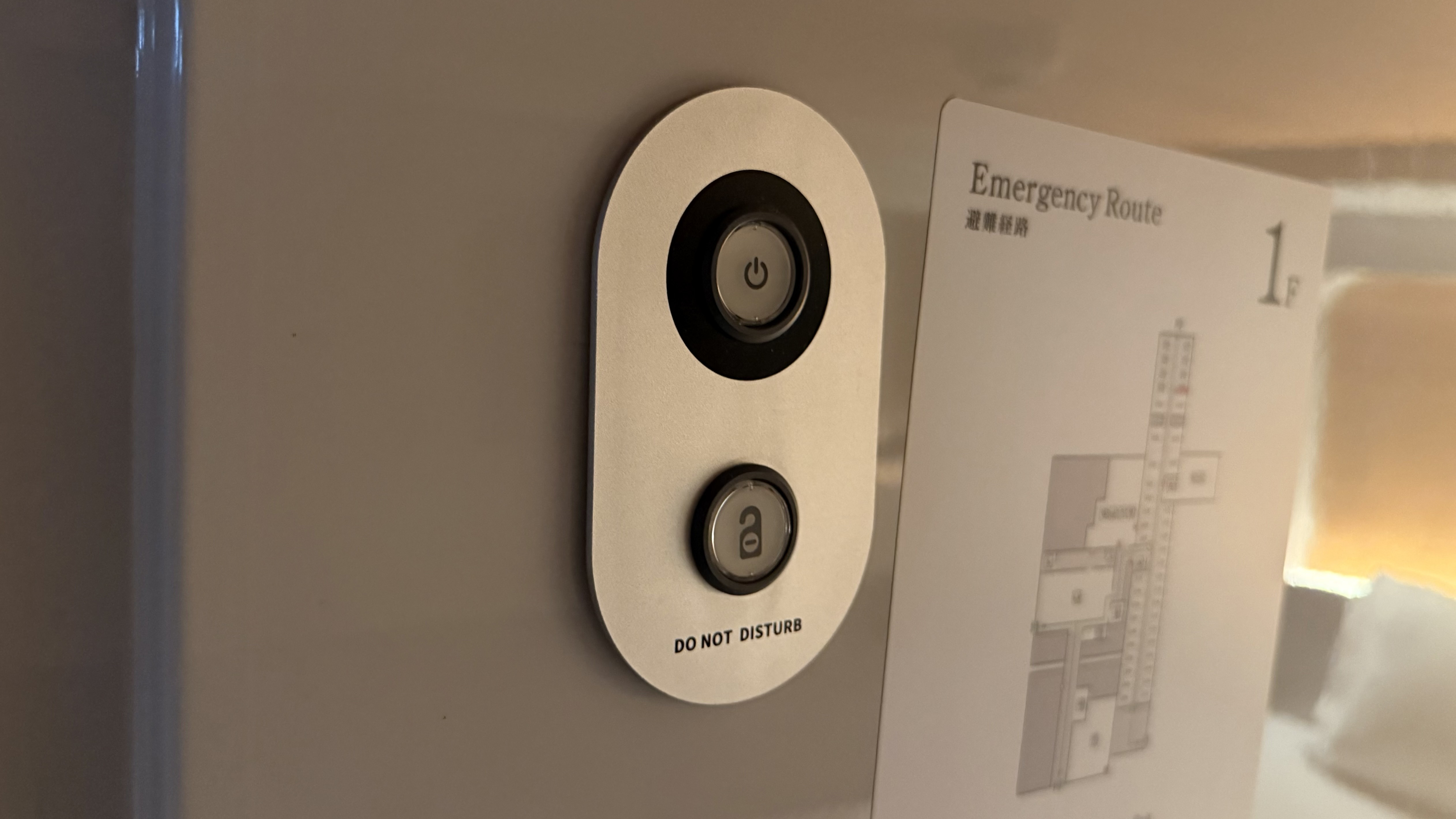 プレミアムエコノミークラスキャビン