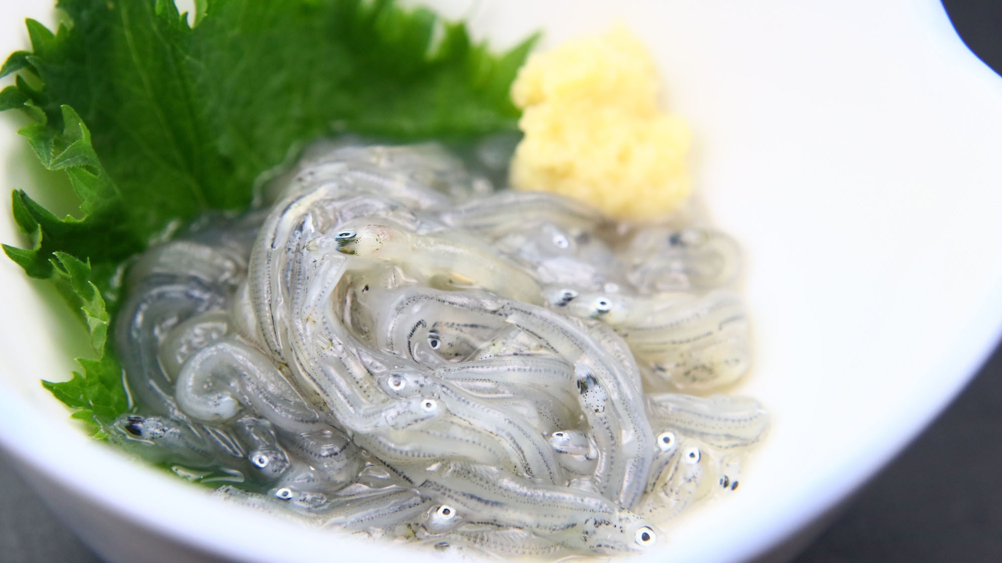 【1泊2食付きスタンダード】地元食材を使った手作り料理や遠州夢咲牛陶板焼きなどが楽しめる♪