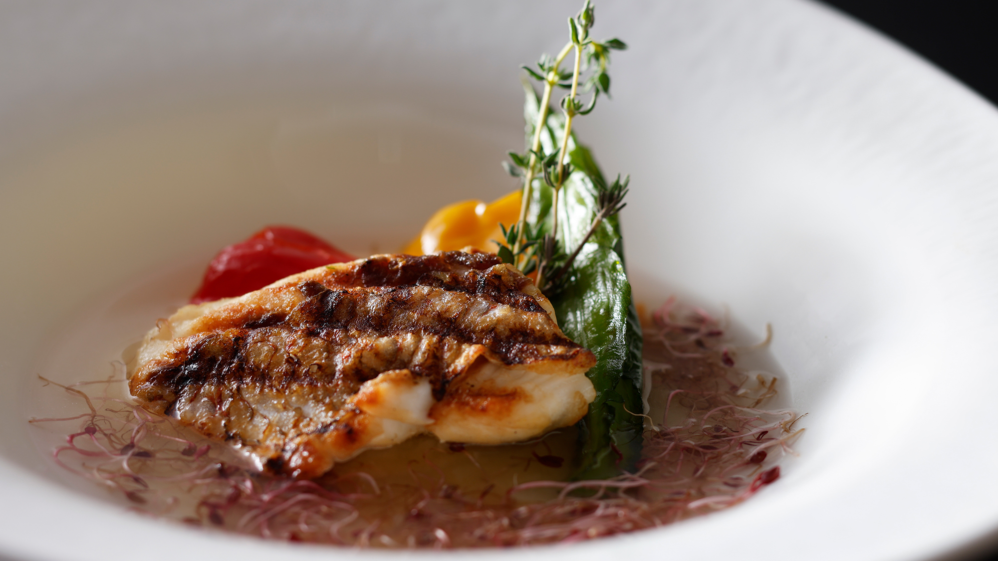 特選通年真鯛のグリエ