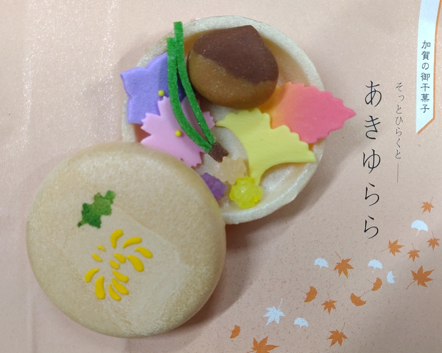 【女子会】朝食付／秋の紅葉と温泉を満喫！！卓球とカラオケ各１時間付！みんなで盛り上がろう！！