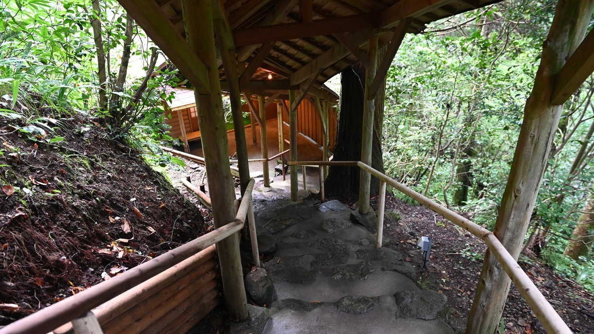 【基本プラン】素泊まり／ 自由な旅のスタイルにぴったり、素泊まりプラン。のんびり温泉三昧！