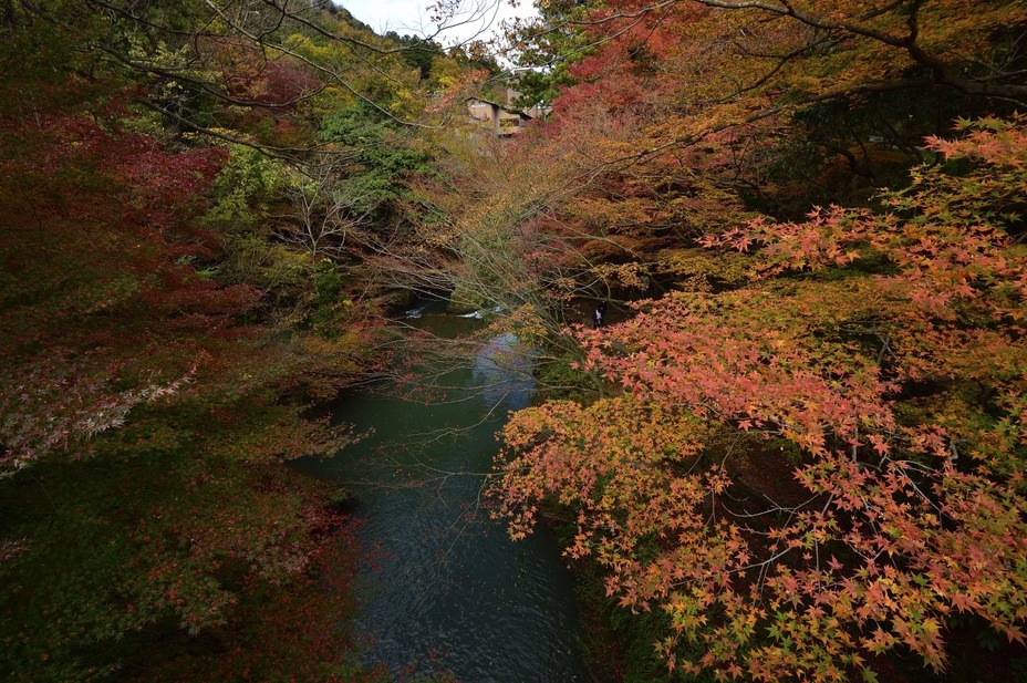 【女子会】朝食付／秋の紅葉と温泉を満喫！！卓球とカラオケ各１時間付！みんなで盛り上がろう！！