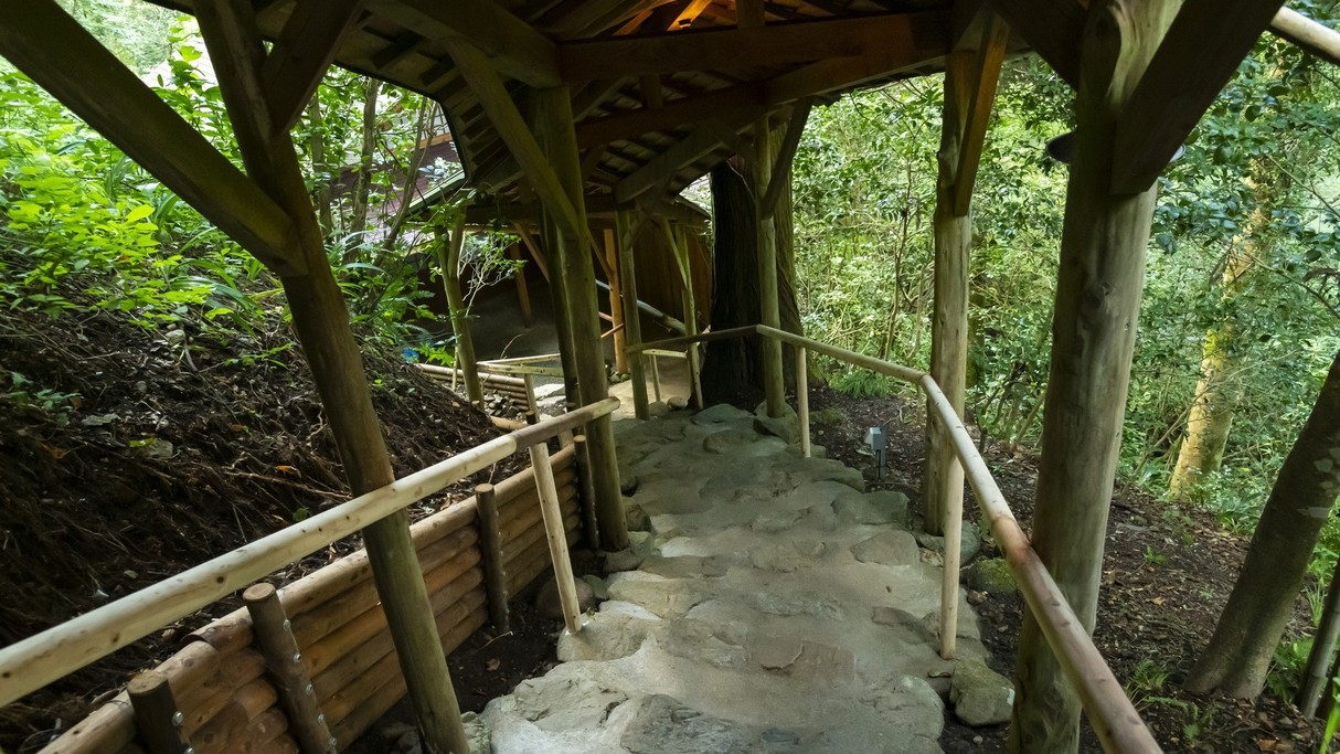 【楽パック★スペシャル】【基本プラン】夕朝食付／ 当館を存分に愉しもう！温泉と旬の食材を堪能！