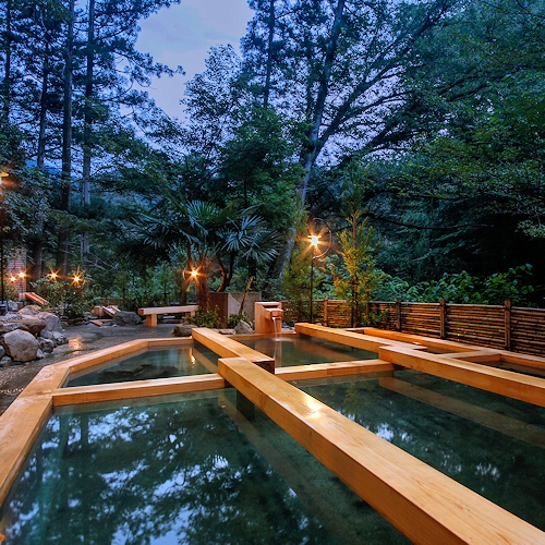 杉の木立の中に段々畑のようにいくつもの湯舟が連なる「湯畑」の様子。