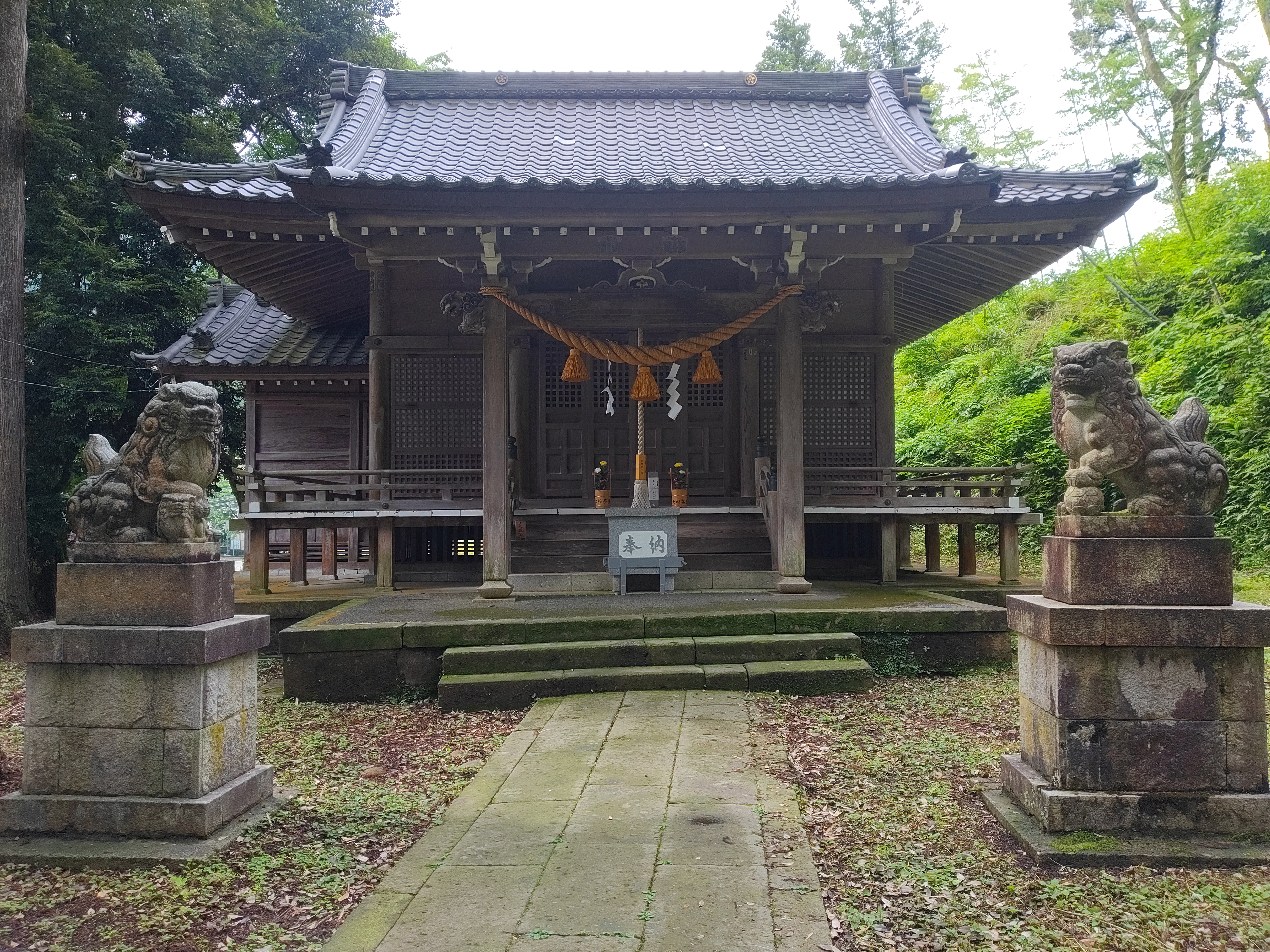 パワースポット「栢野の大杉」