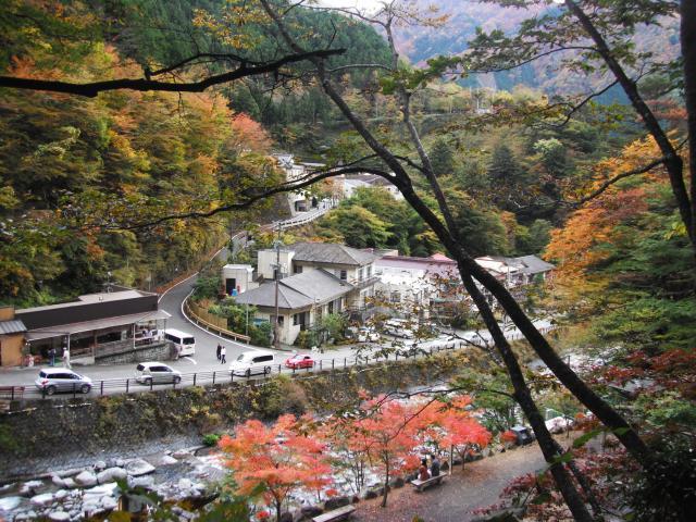 梅ヶ島温泉 清香旅館 秘境の紅葉ｉｎ梅ヶ島 楽天トラベル