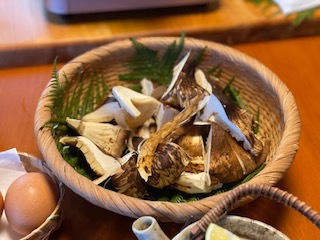 松茸料理コース（2026年10月16日〜11月15日）