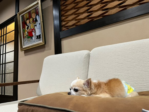 昼寝