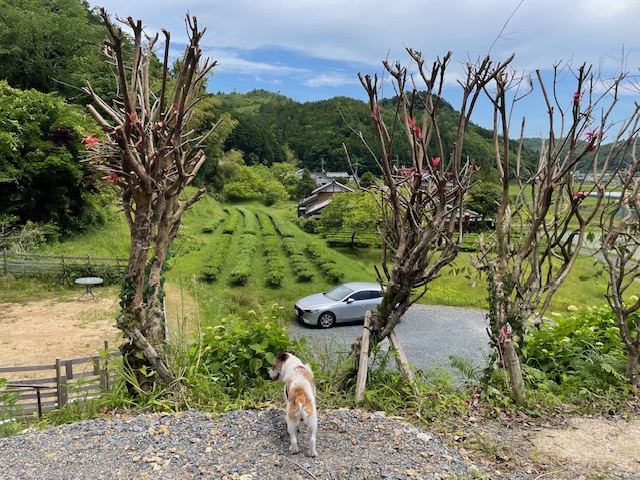 受付前