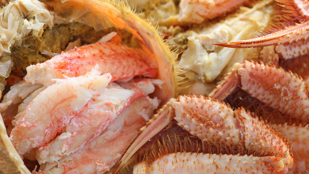 【北海道フェア】新発売！北海道産毛蟹を味わう◆千代田荘おすすめ特選プラン