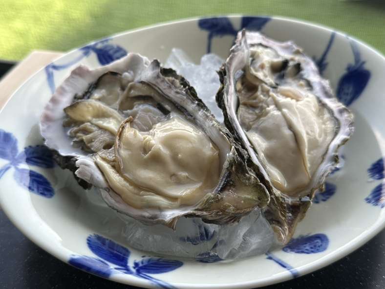 【冬限定☆大満足】日生名物！プリップリの大粒カキを贅沢に味わう「特製・牡蠣鍋」プラン