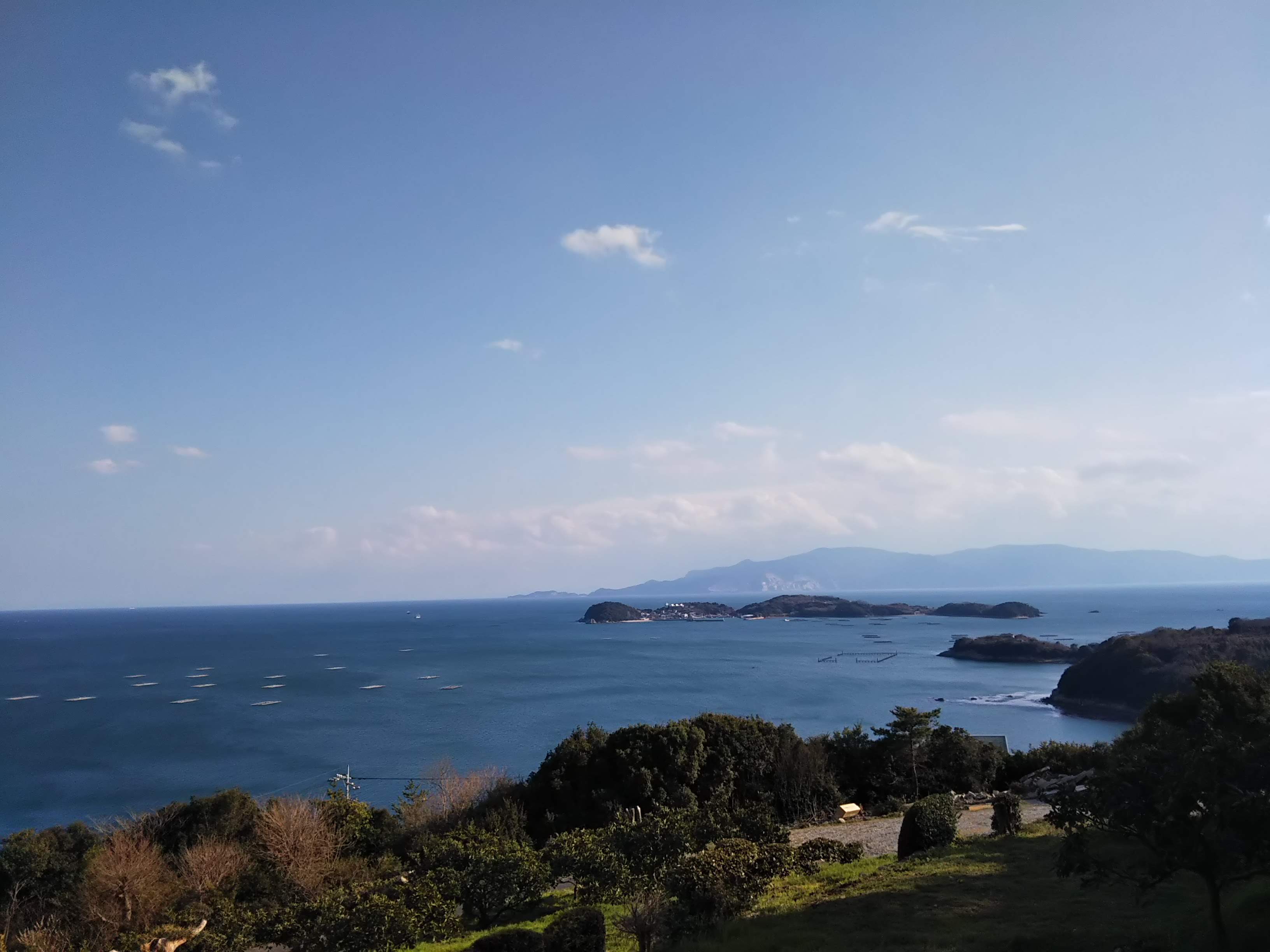 旬の地産食材を楽しむ！