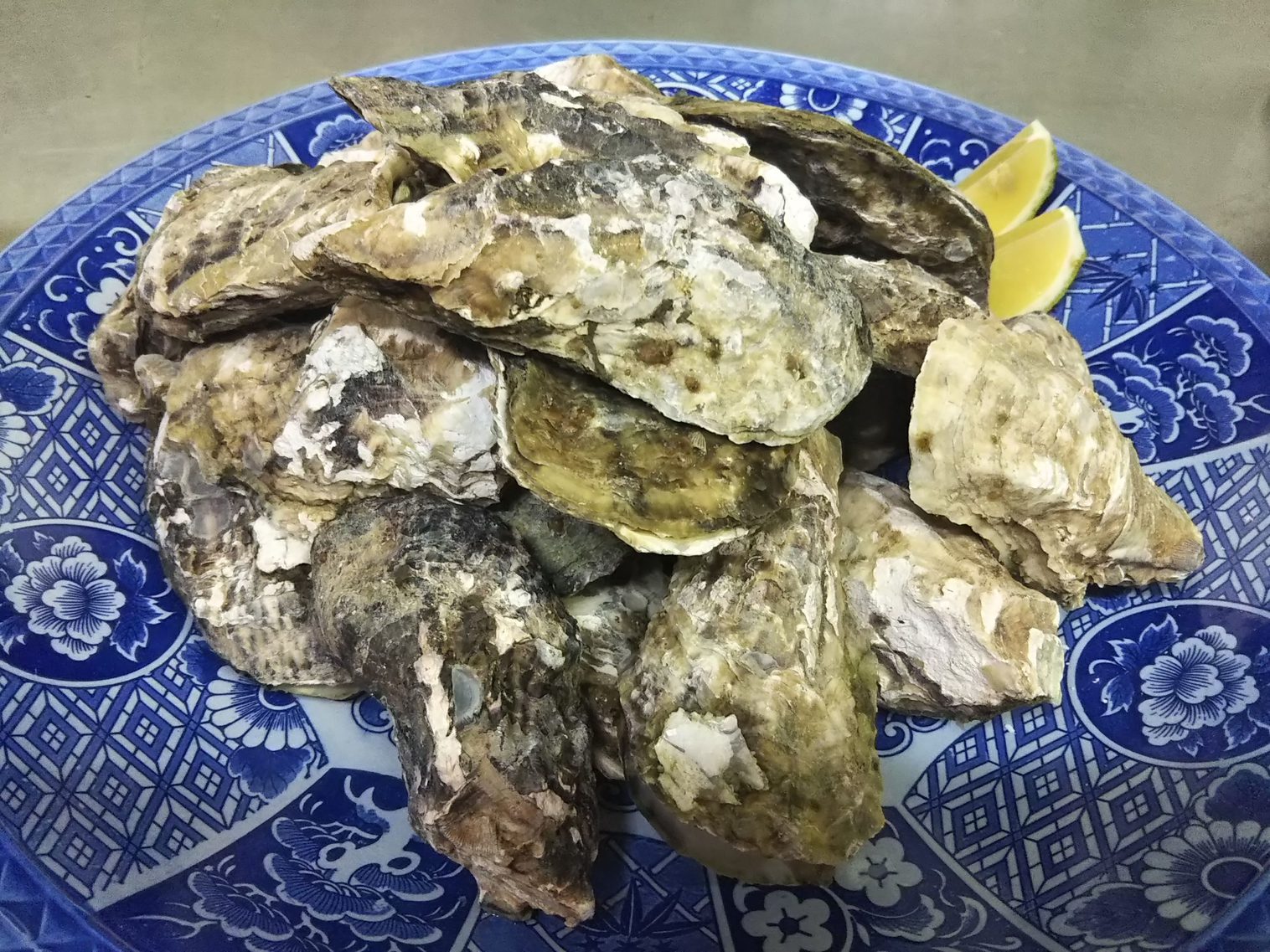 冬季限定　日生名物　旬の牡蠣尽くしプラン