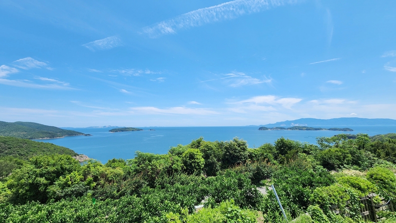 【隠れた絶品！】 旨みたっぷり地鶏を味わう、大満足の「鶏すき鍋」プラン