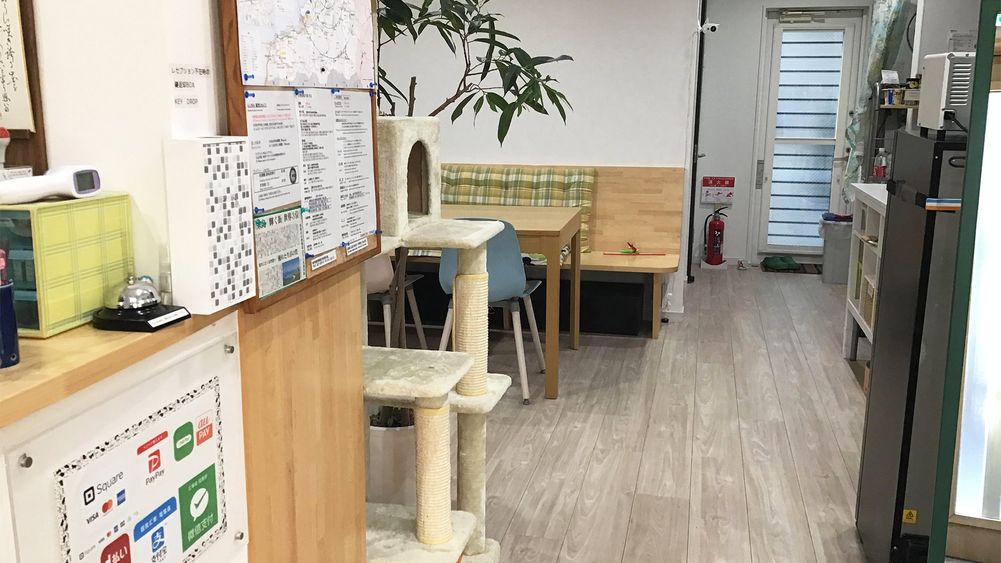・入口からの一枚。当館は猫が時折出勤しております。
