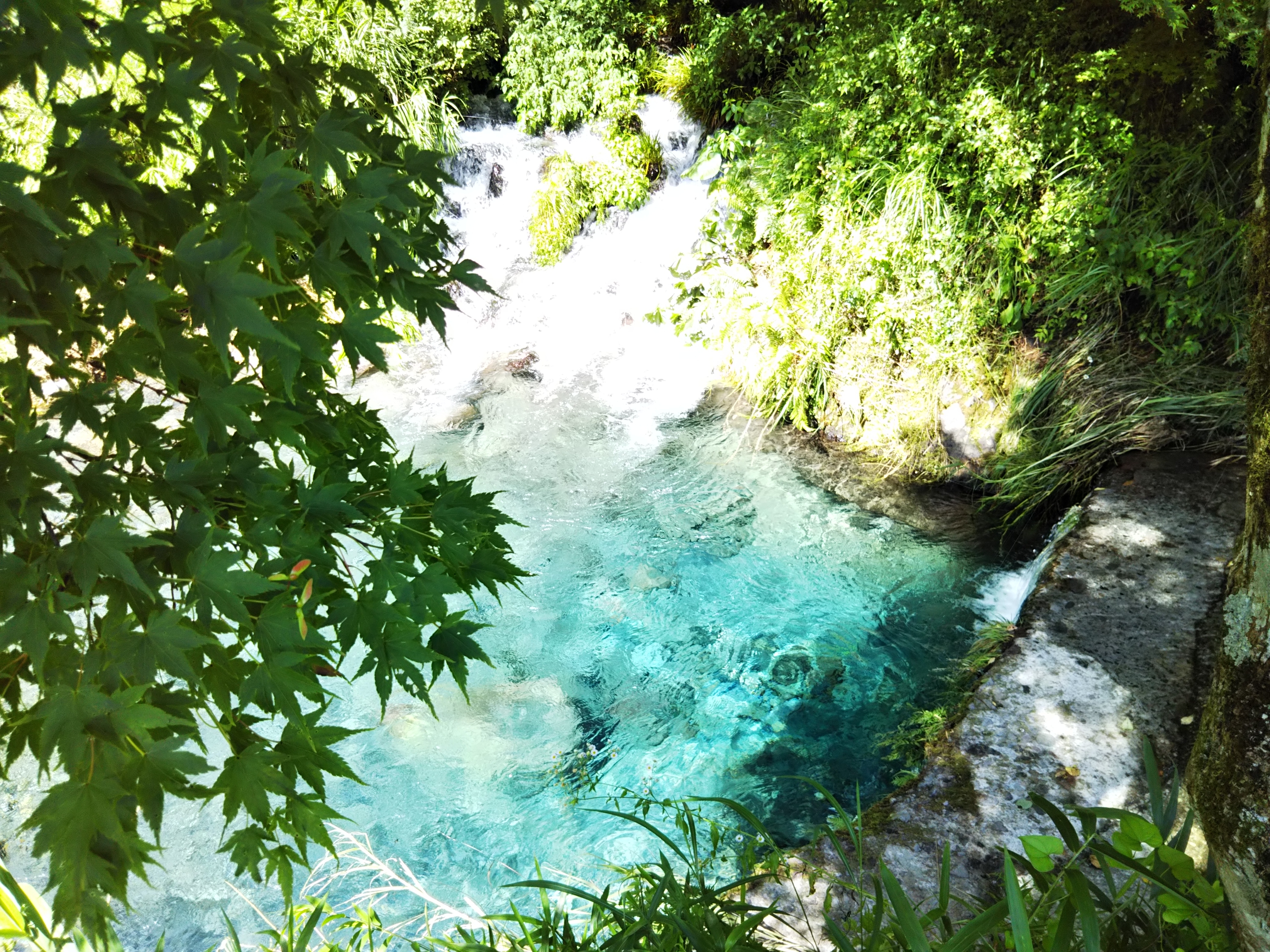 山荘　四季眺