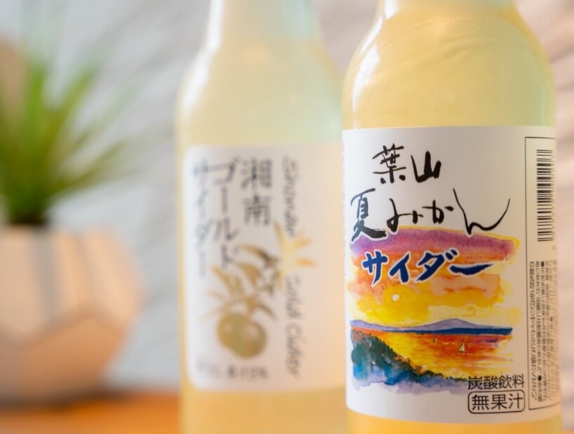 【かながわ冬の魅力発見】人気のローカルドリンク2本プレゼント！三浦野菜を楽しむ朝食付！