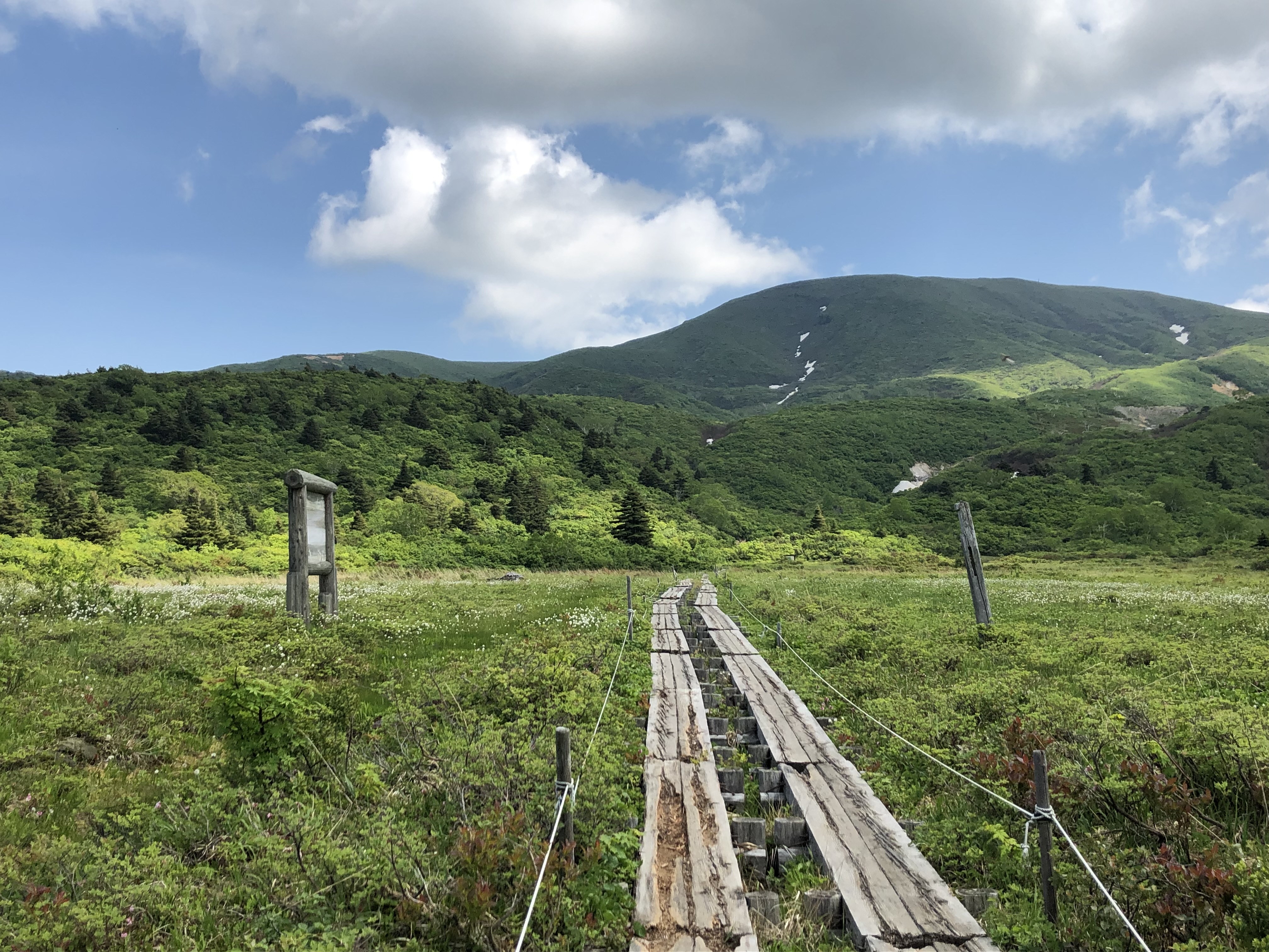 名残が原