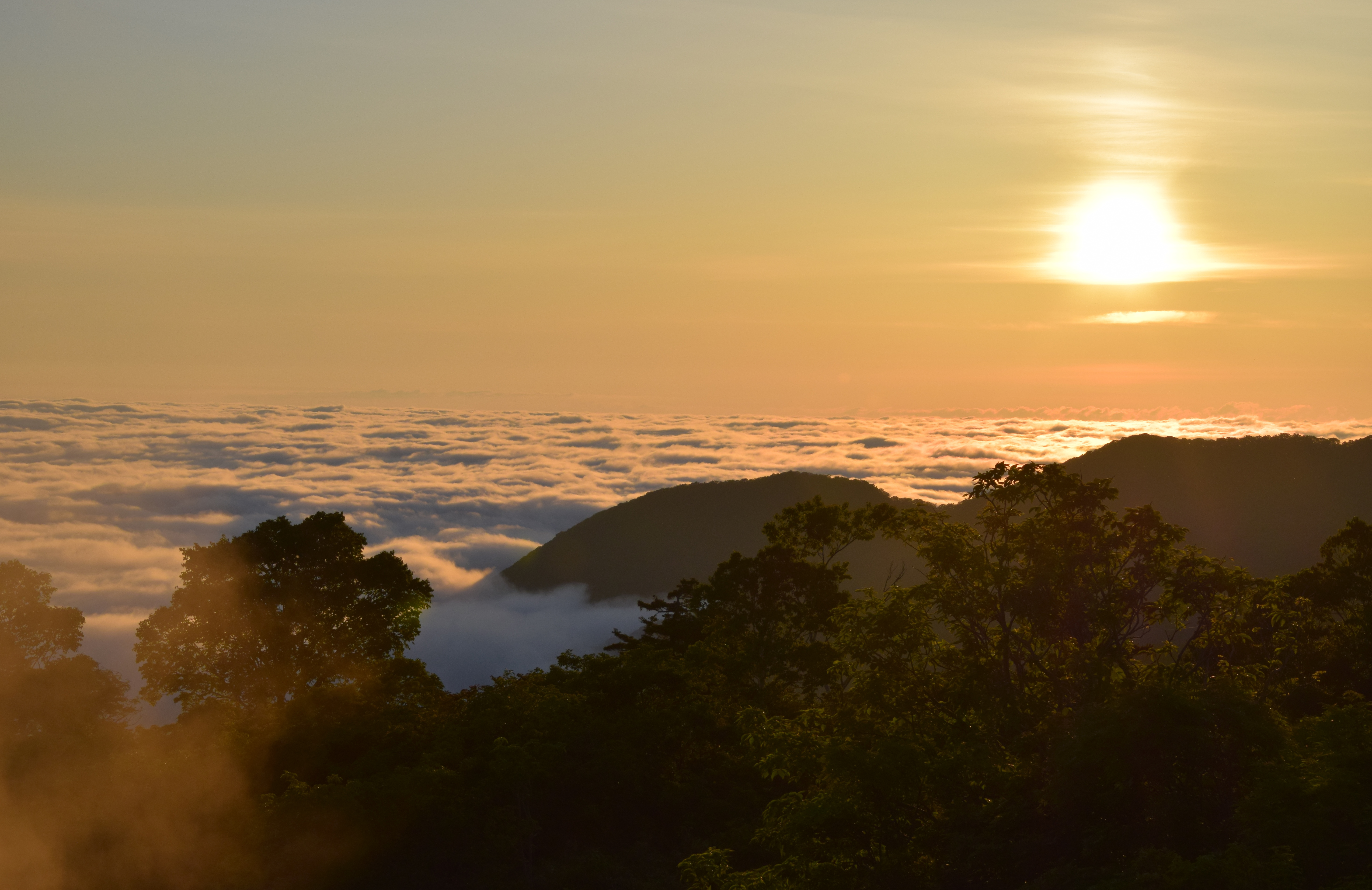 運が良ければ雲海と早池峰山が見れます