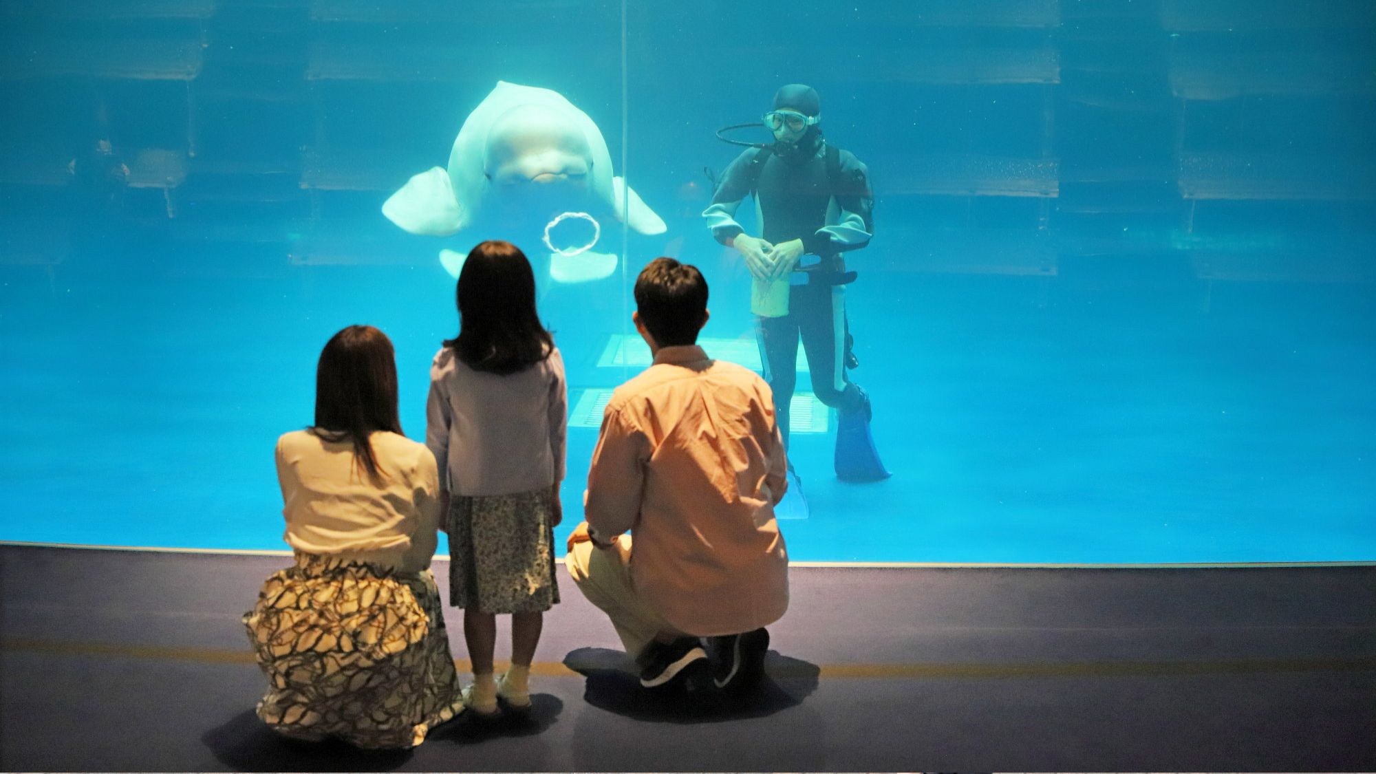 【しまね海洋館アクアス入館券付】西日本でシロイルカに会えるのはここだけ！特別な休日プラン（1泊朝食）