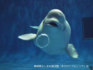 【GWにぴったり】はりもで楽しむGWプラン♪しまね海洋館アクアス入館券付（1泊朝食）