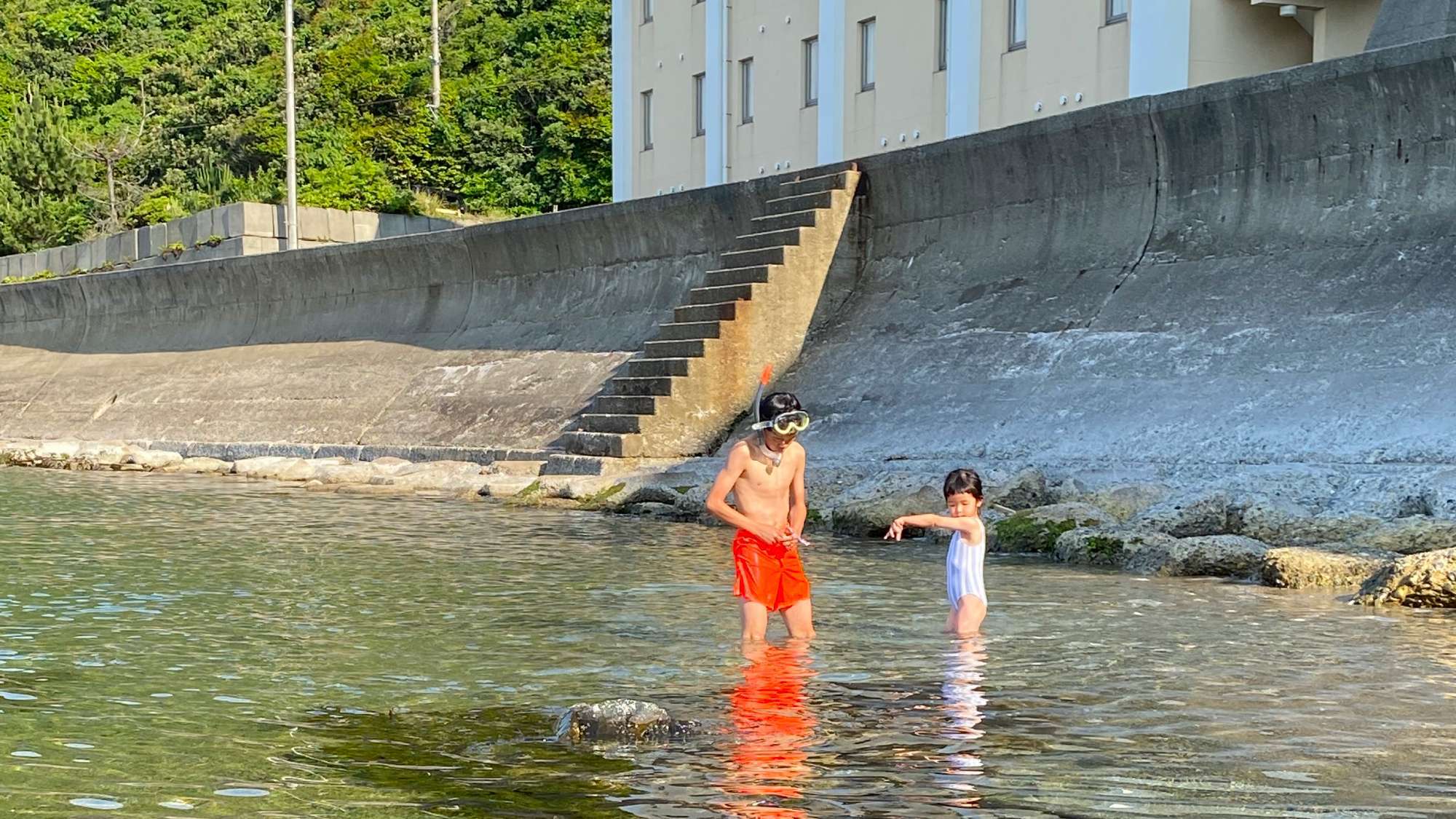 【夏休みにピッタリ】はりもの夏を楽しむサマープラン♪しまね海洋館アクアス入館券付（1泊朝食）