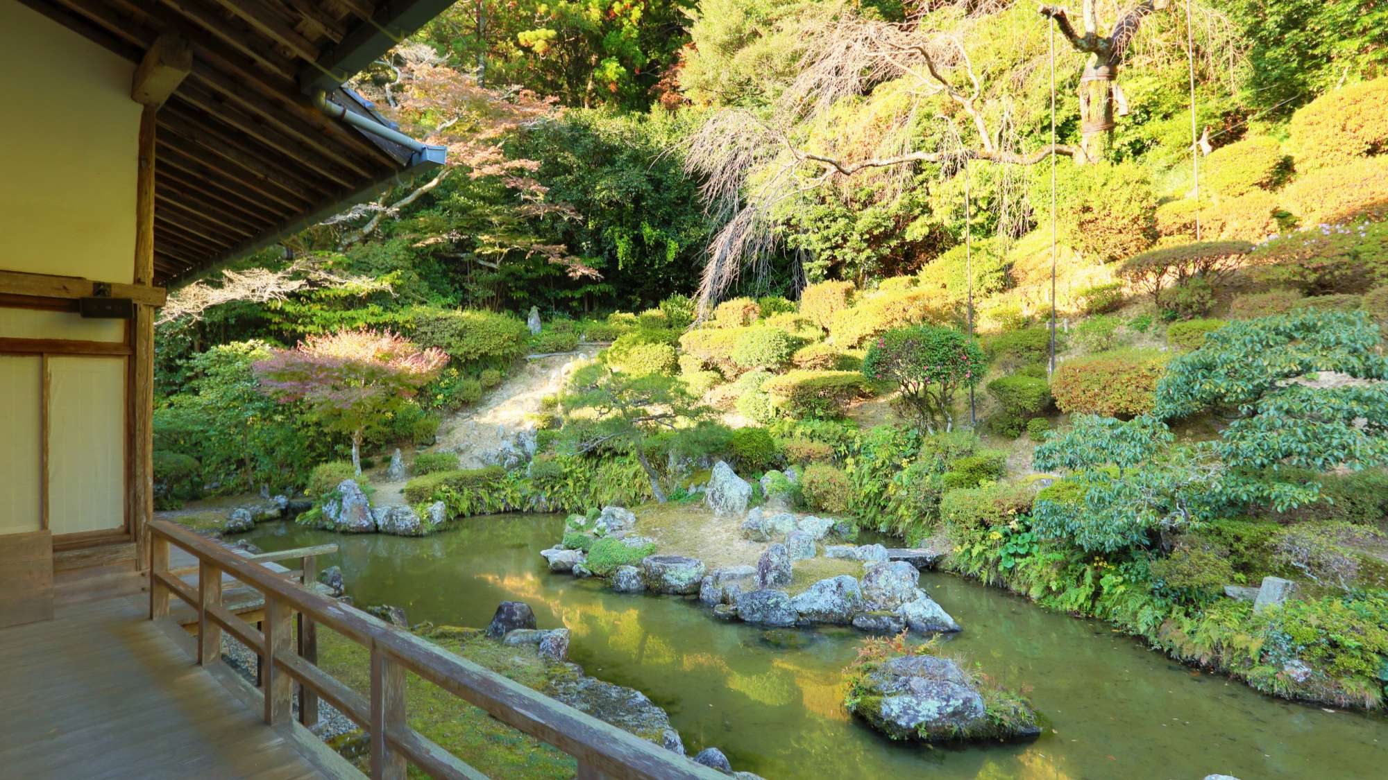 【周辺観光】＜秋＞医光寺　車で30分