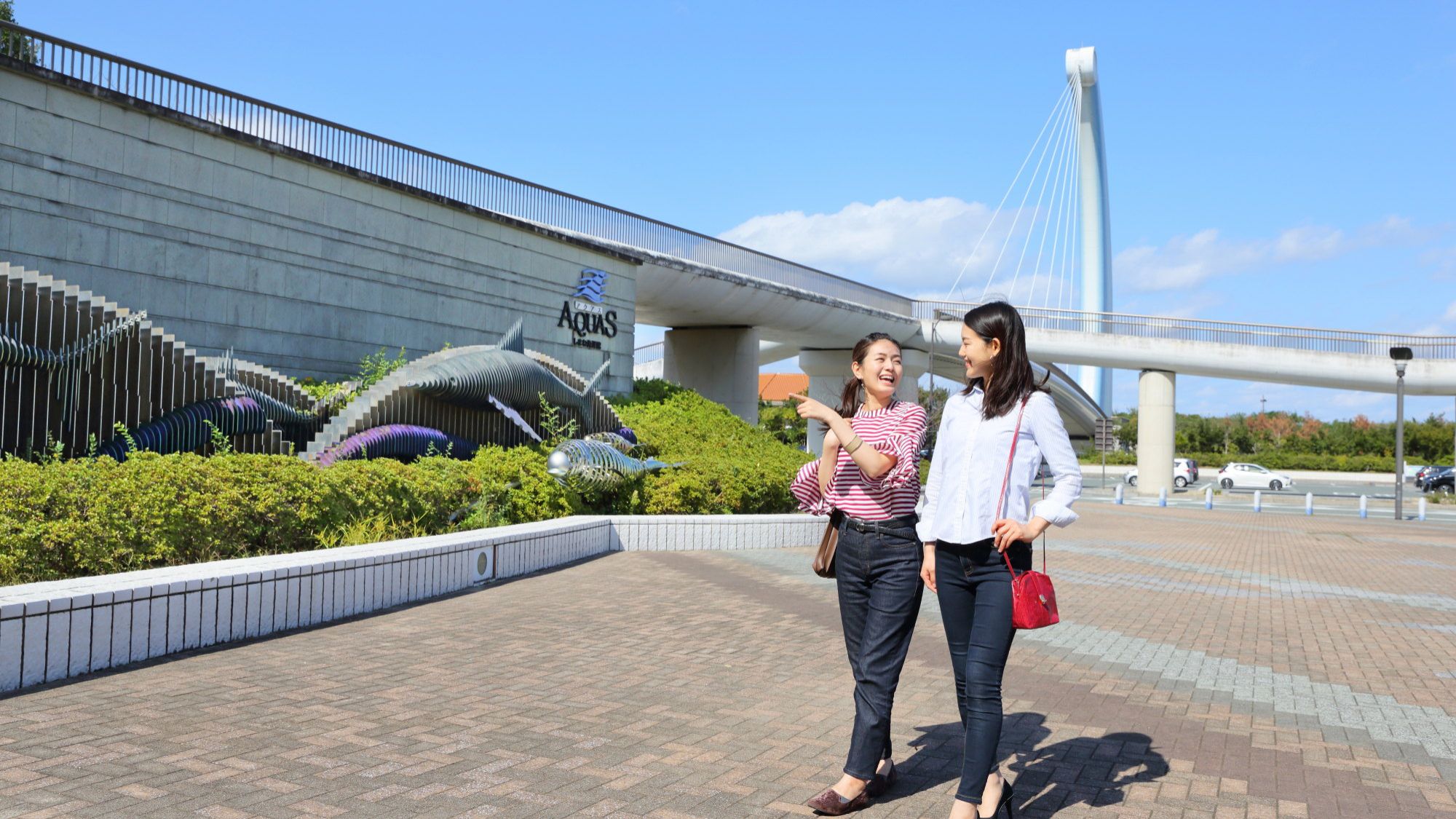 【しまね海洋館アクアス】当館より車で約40分