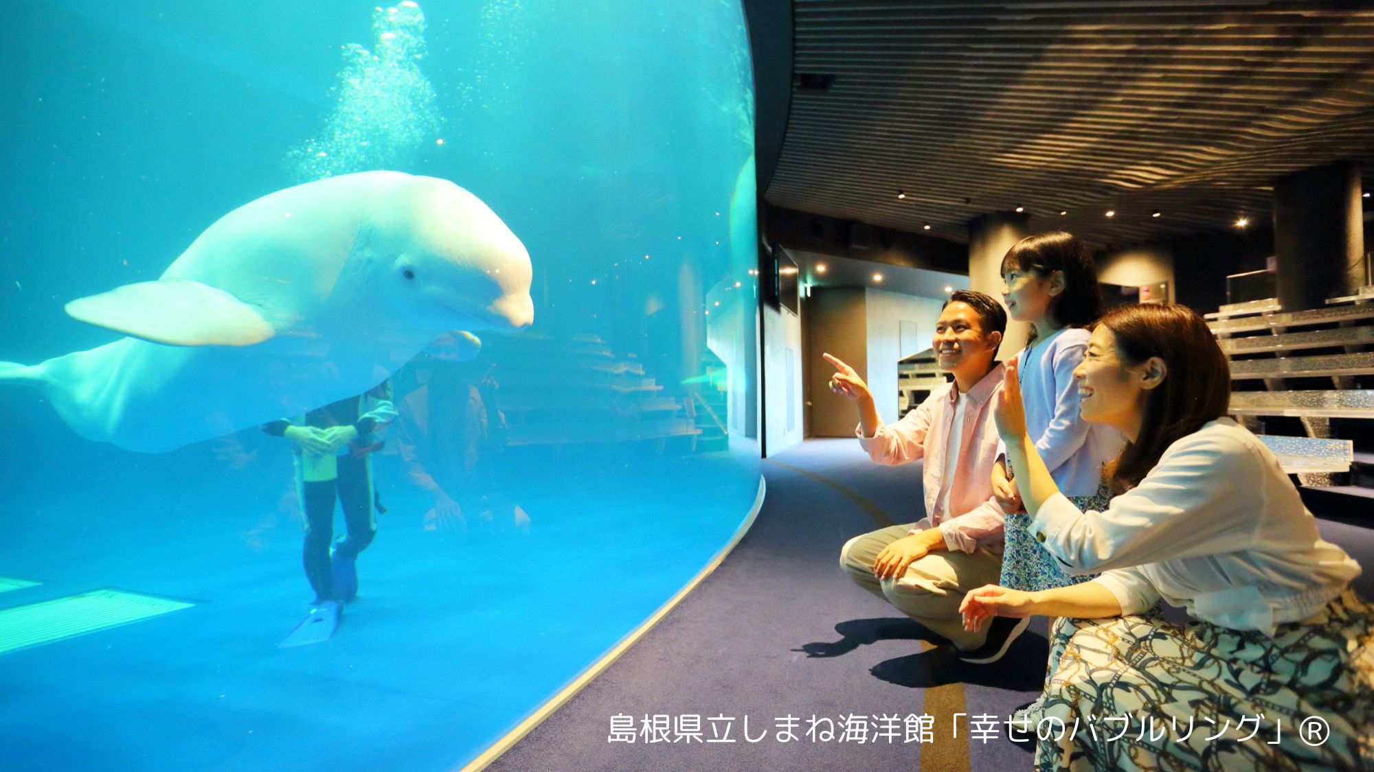 【しまね海洋館アクアス】当館より車で約40分