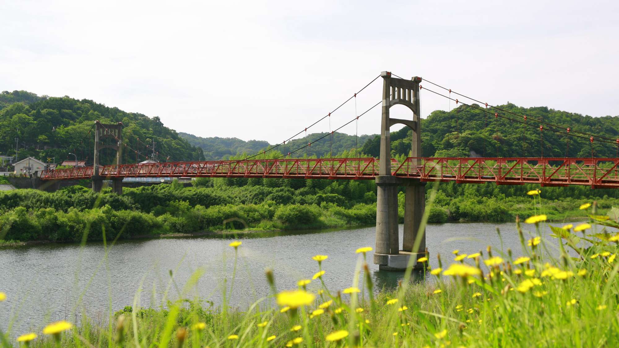 【周辺観光】＜夏＞高津川　車で1時間