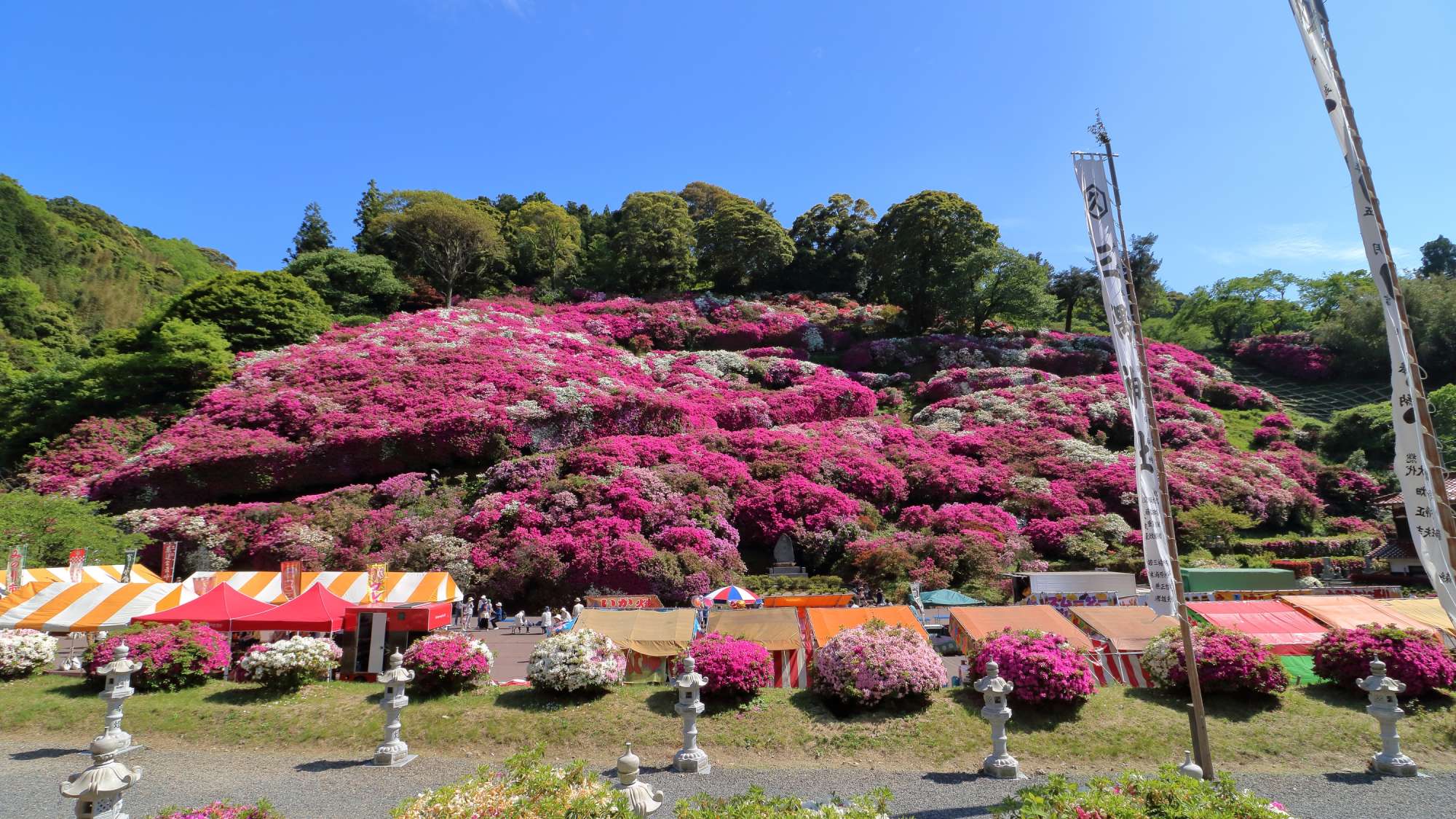 【周辺観光】＜春＞三隅つつじ祭り　車で10分