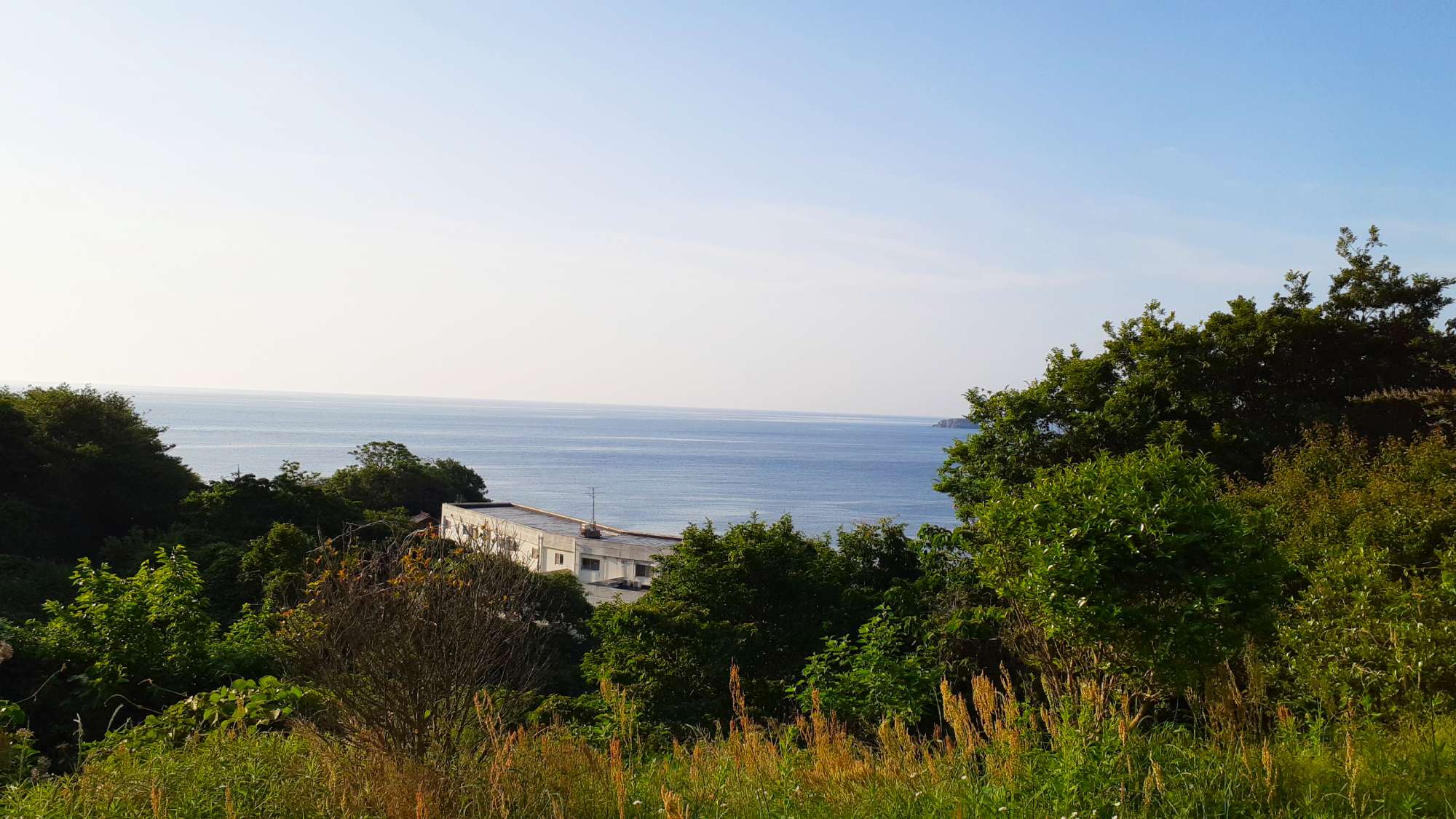 【周辺観光】はりも山からの景色