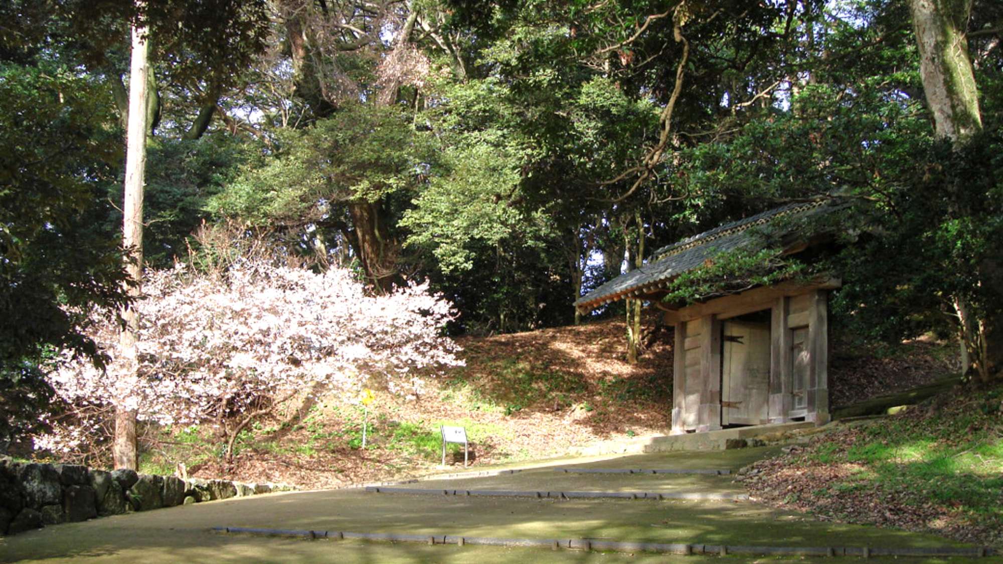 【周辺観光】＜春＞浜田城山公園　車で30分