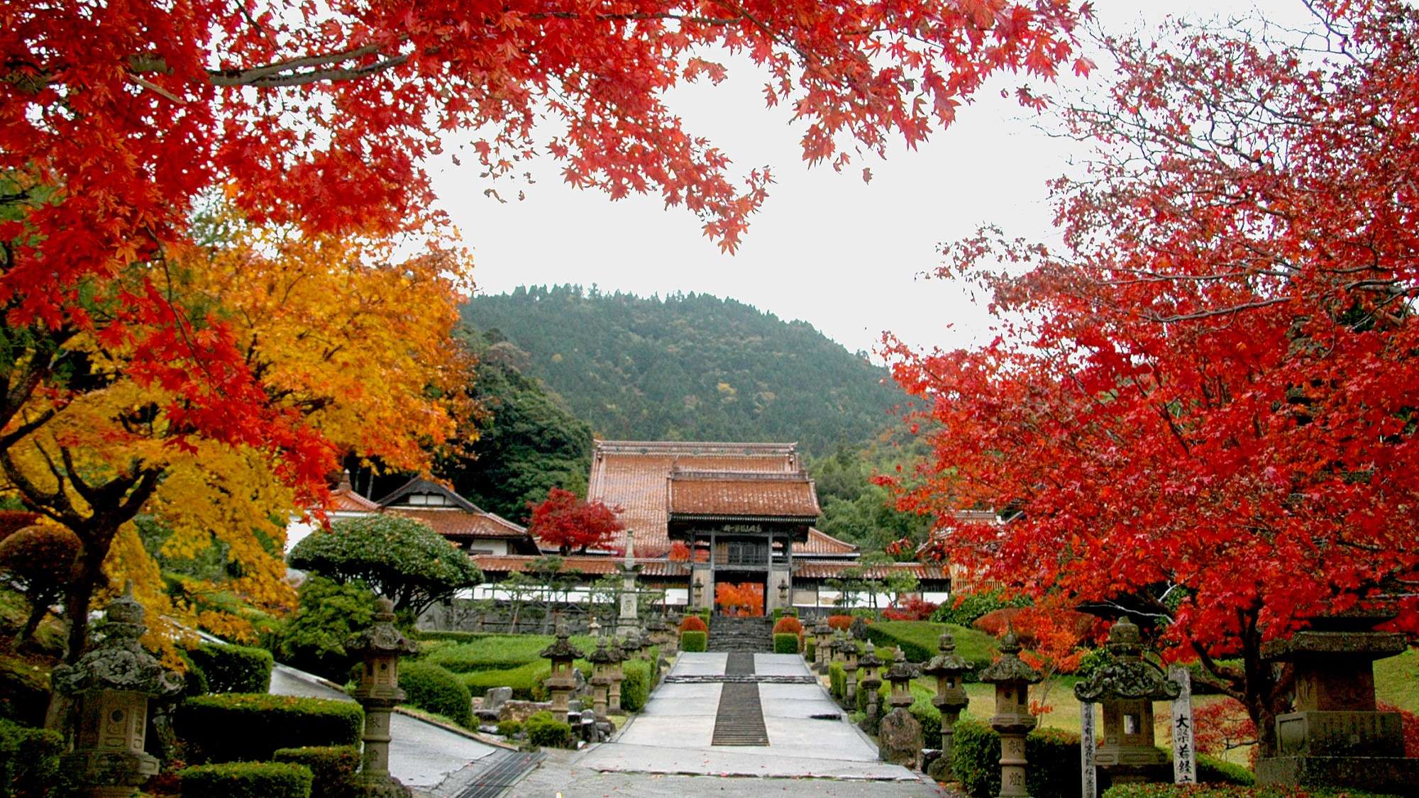 【周辺観光】＜秋＞龍雲寺　車で20分