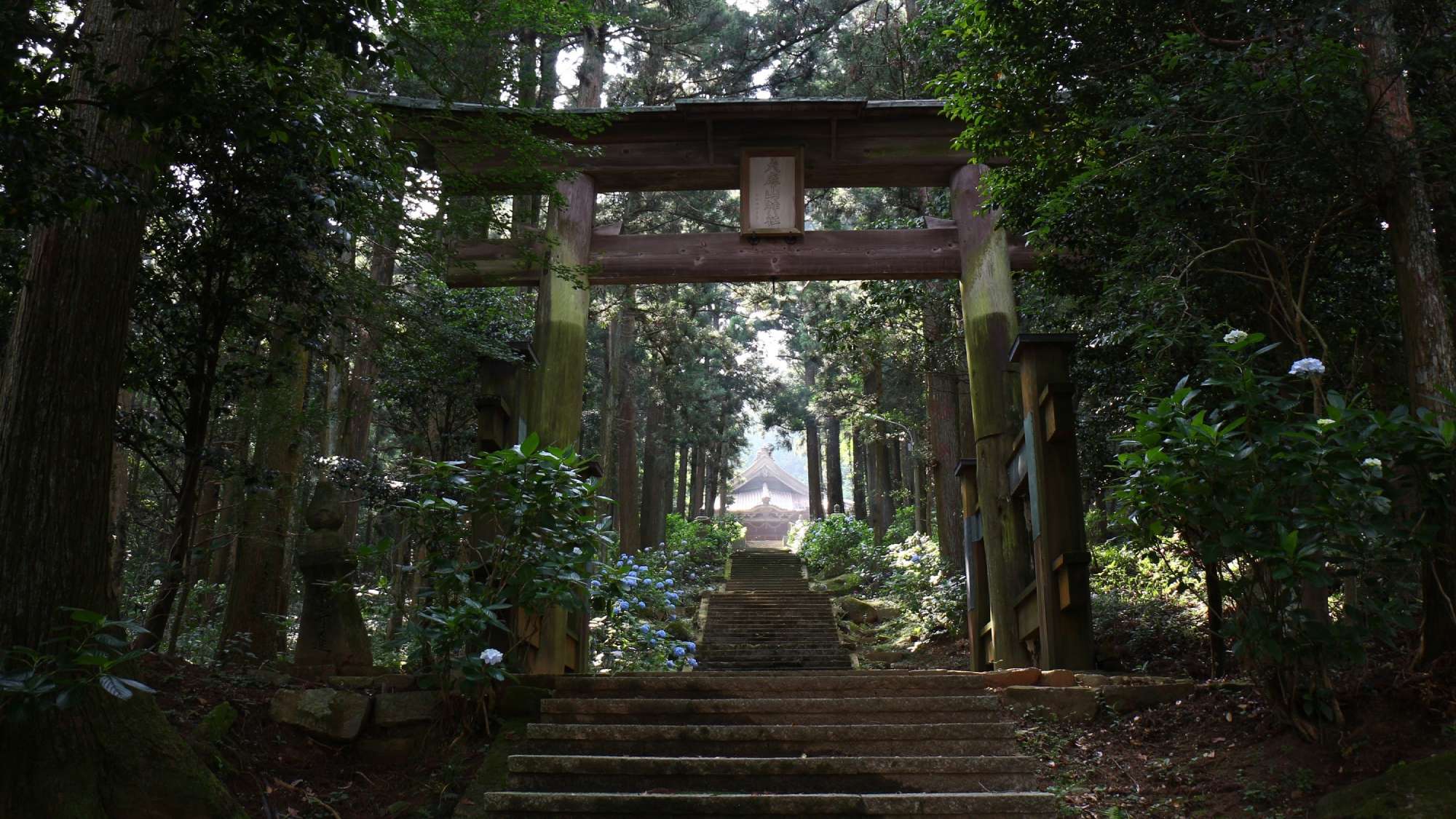【周辺観光】＜夏＞大麻山神社　車で30分