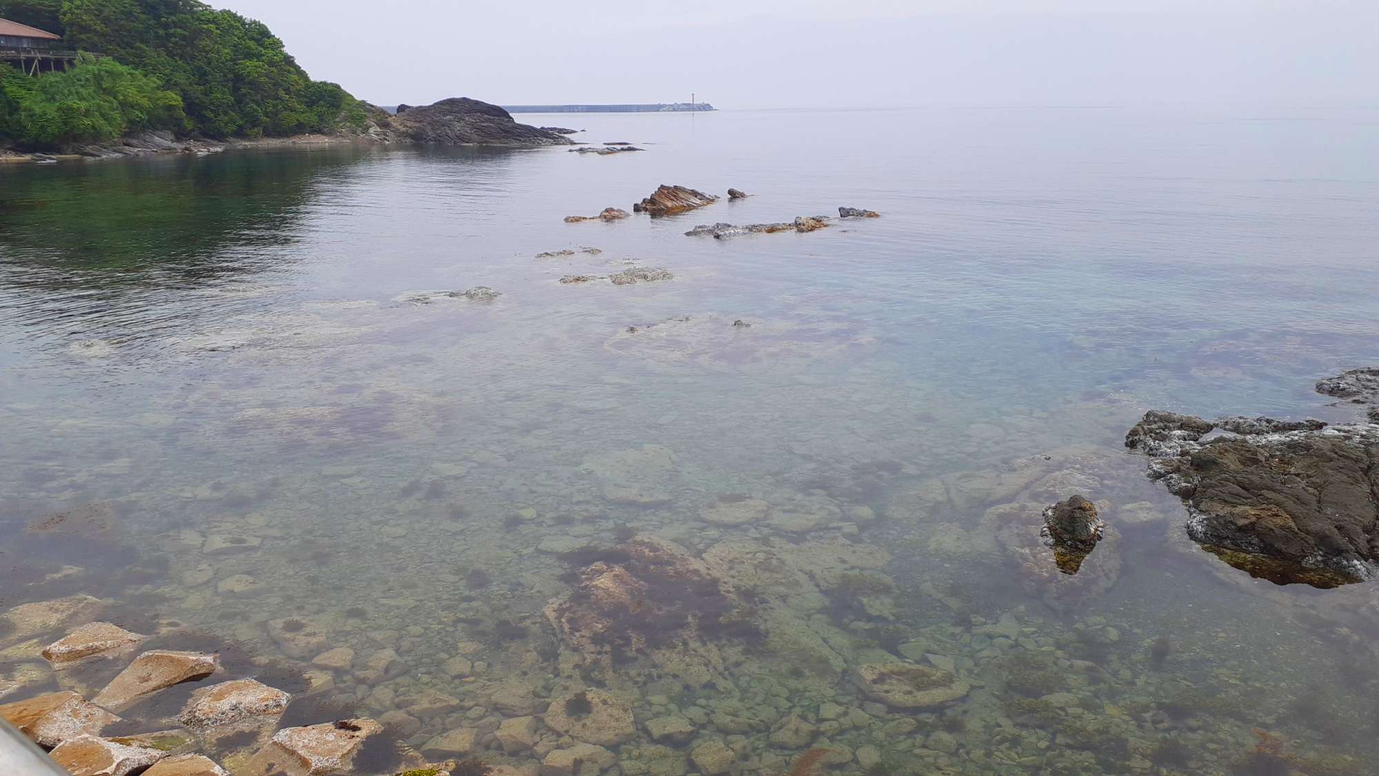 ゴーグル持参で湾内シュノーケも楽しめます。