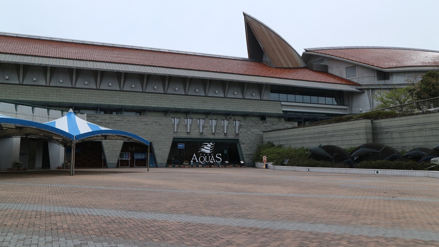 *【AQUASーしまね海洋館ー】西日本で唯一シロイルカが見れます！当館から車で約40分。