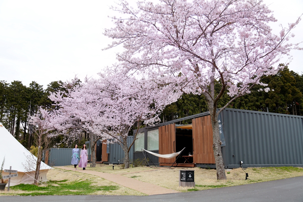 【春爛漫 御殿場桜紀行ステイ】◇桜めぐりと春のバーベキューディナー◇(朝夕食付)