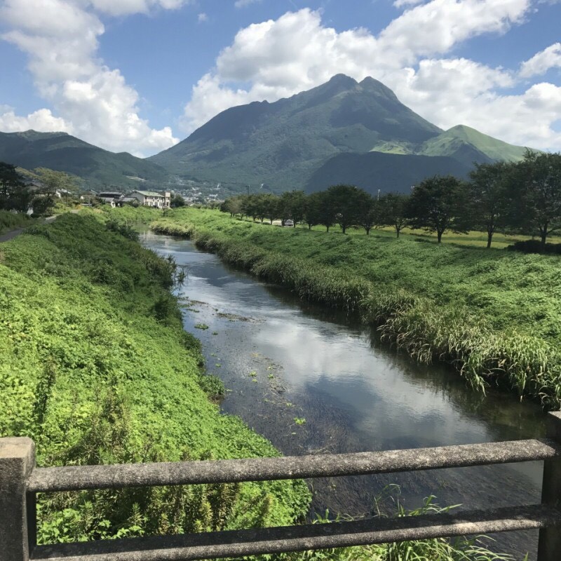 ウォーキングコース