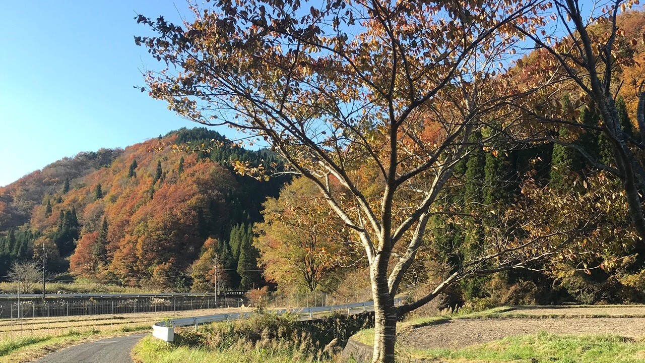 近隣ウォーキング風景