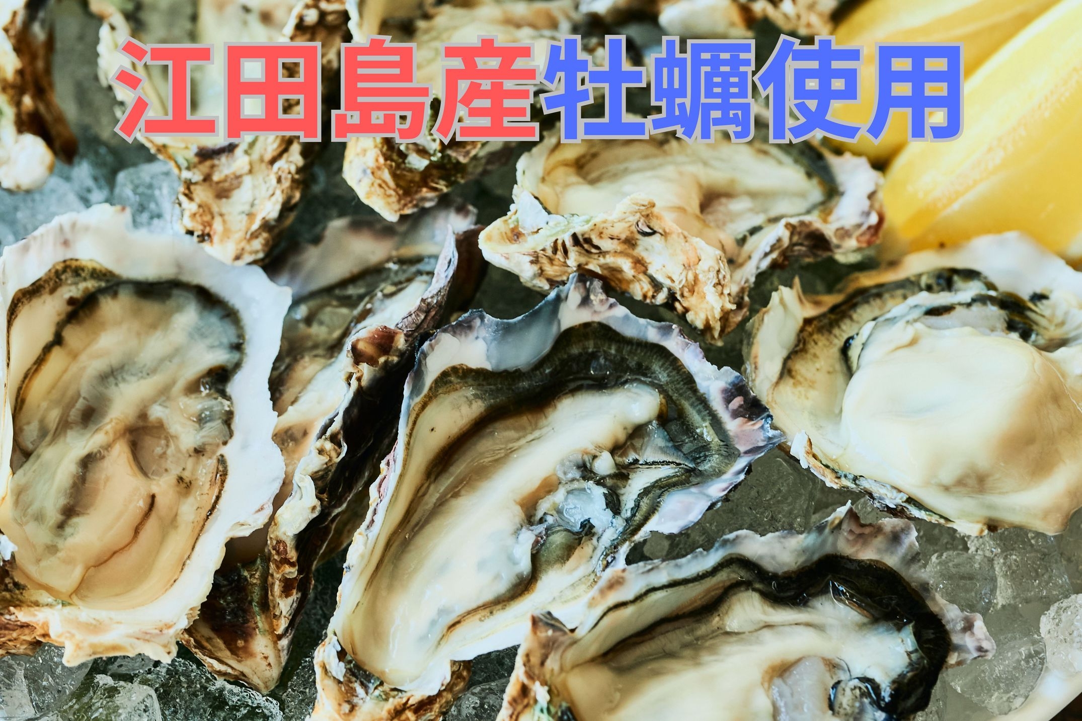 【冬季限定！】江田島産牡蠣づくし！1泊２食付きプラン