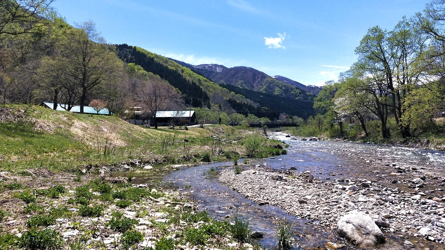 *【キャンプ場】清流の百瀬川沿いにあります