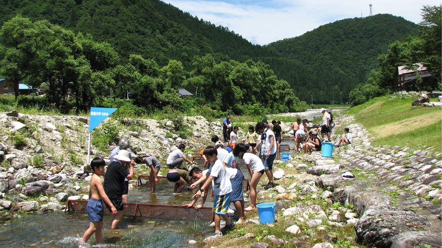 *【体験】岩魚つかみどり