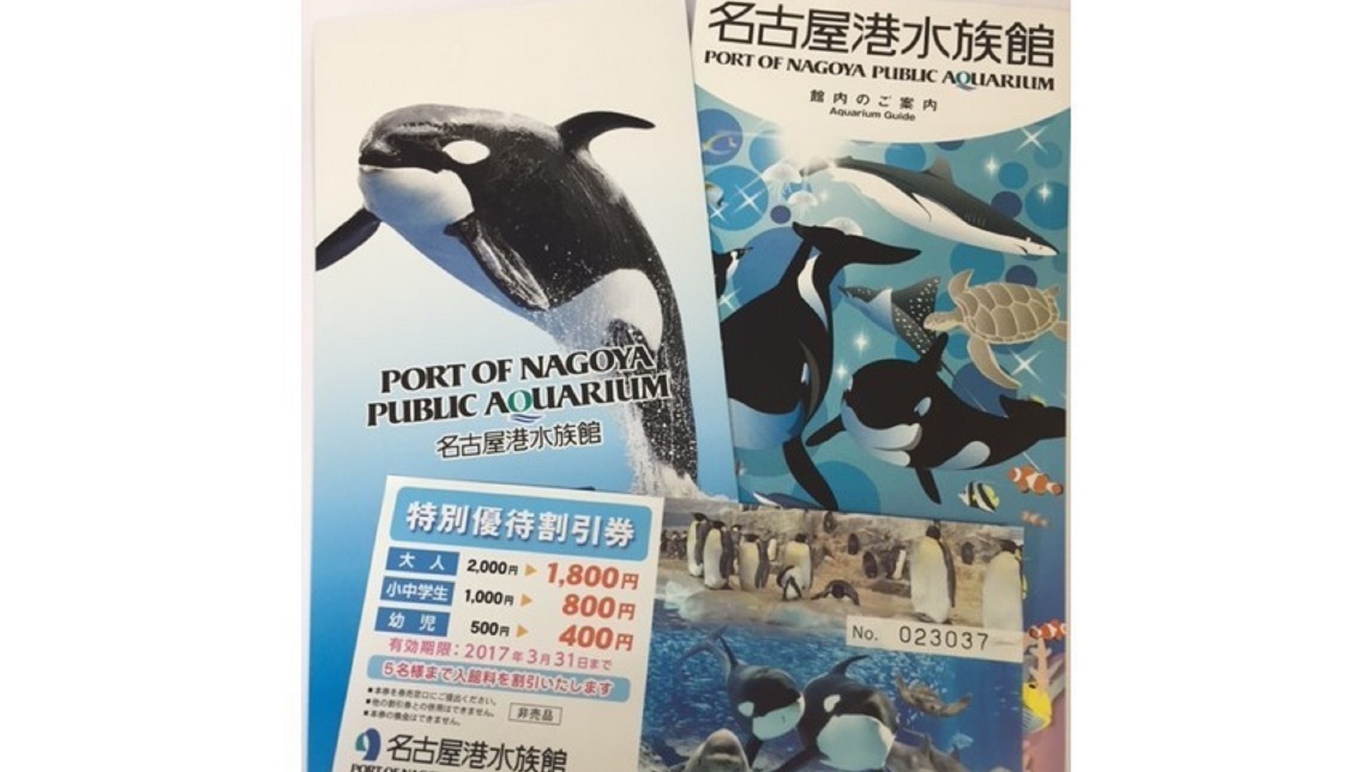 名古屋港水族館の割引券やパンフレットになります♪お出かけの際はご利用下さい！