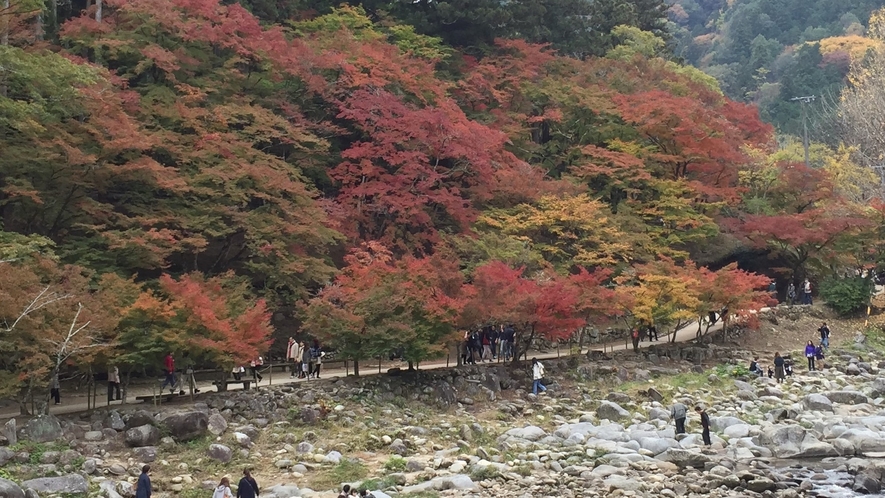 愛知県の紅葉の名所の一つ香嵐渓です！色とりどりの紅葉に囲まれて季