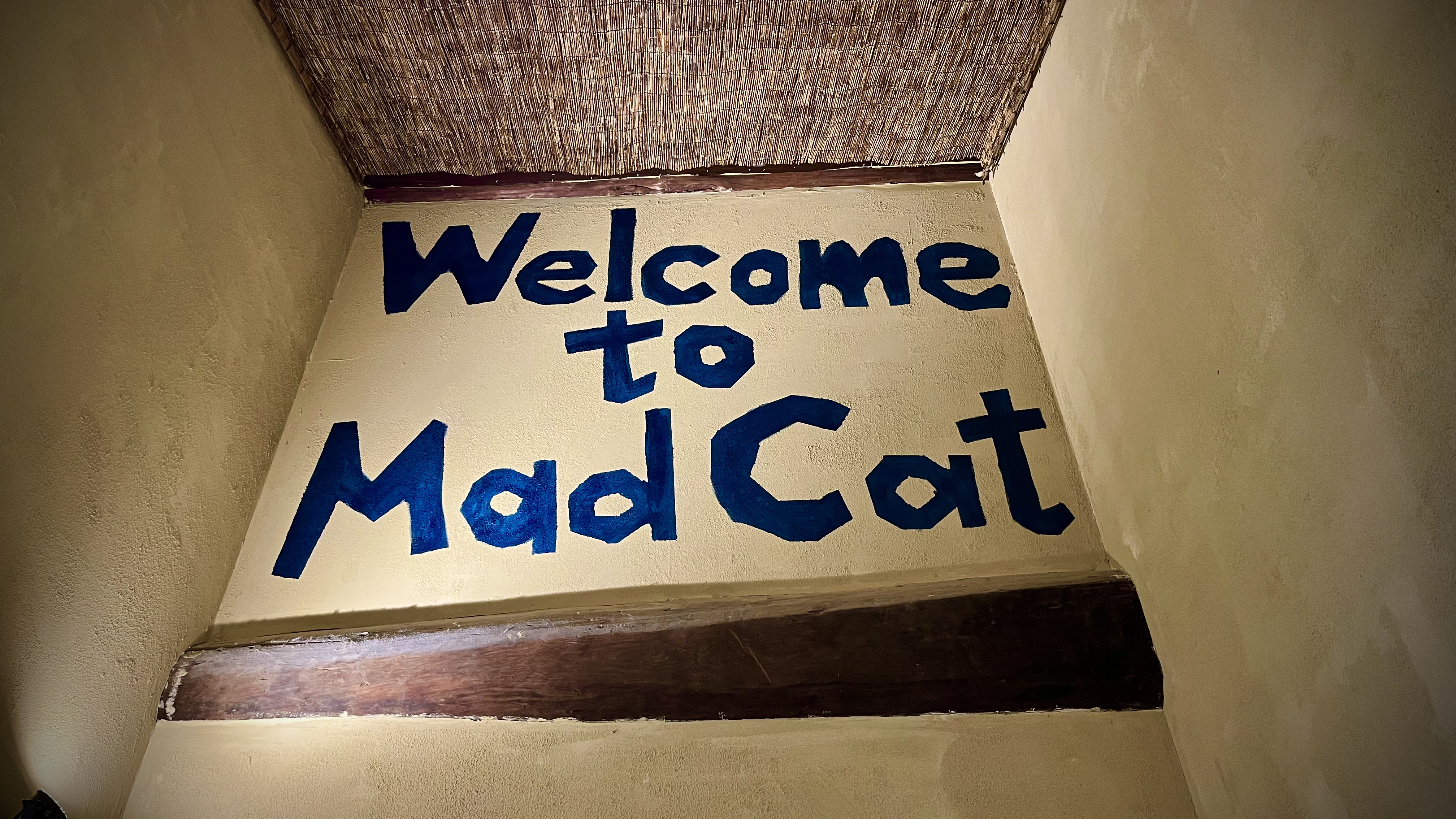 Welcome to Mad Cat