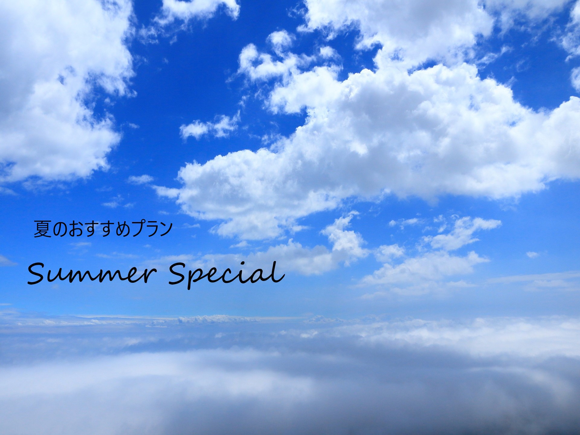 【季節割】夏から初秋の期間販売『Summer Special』(食事なし)JR函館駅より徒歩1分